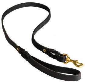 CENTRAL ASIAN SHEPHERD LEASH : Central Asian Shepherd Gear: Dog Harness ...