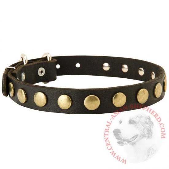 Download Leather Central Asian Shepherd Collar with Brass Circles for Fashionable Walking [S27##1109 ...