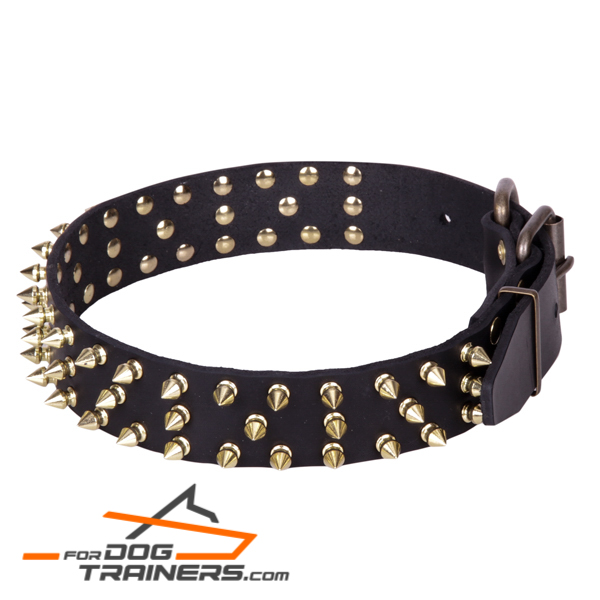 Leather dog collar with amazing decor