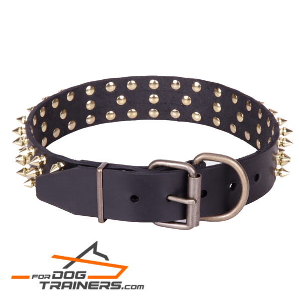 Deluxe dog collar with heavy-duty hardware