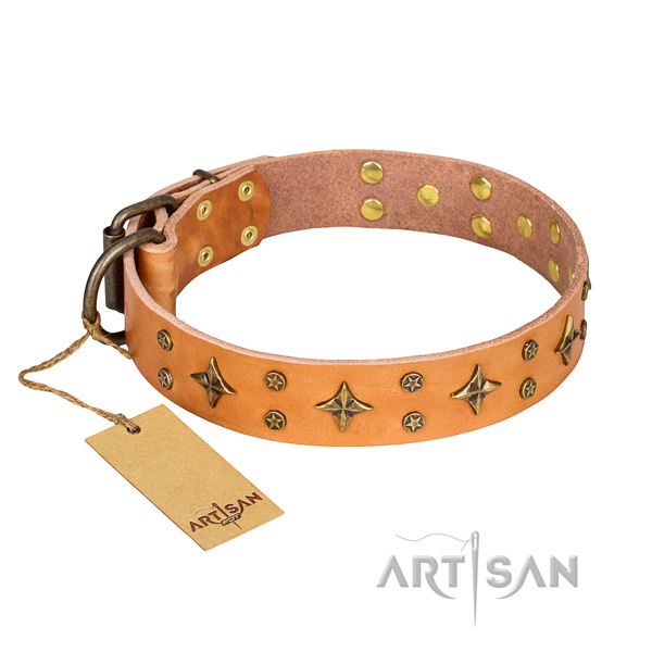 Everyday use dog collar of reliable genuine leather with embellishments