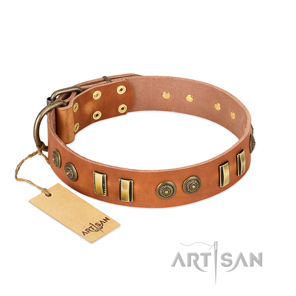 Reliable studs on full grain natural leather dog collar for your canine