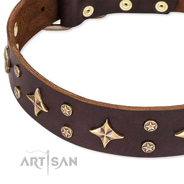 Basic training decorated dog collar of finest quality natural leather