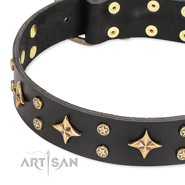 Easy wearing studded dog collar of finest quality genuine leather