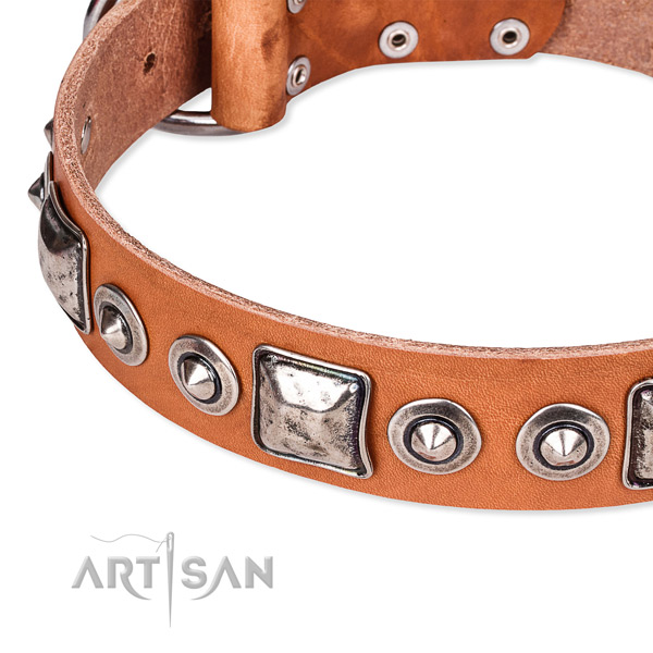 Gentle to touch full grain genuine leather dog collar created for your beautiful pet