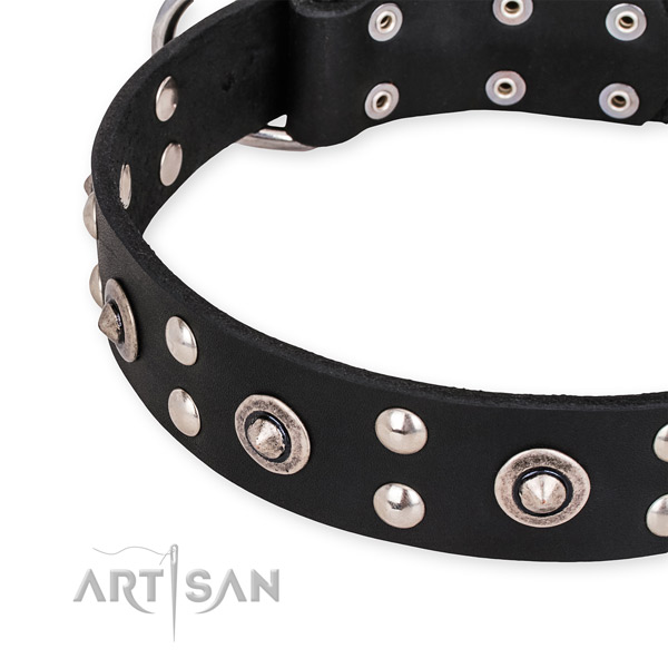 Full grain natural leather collar with strong fittings for your attractive doggie