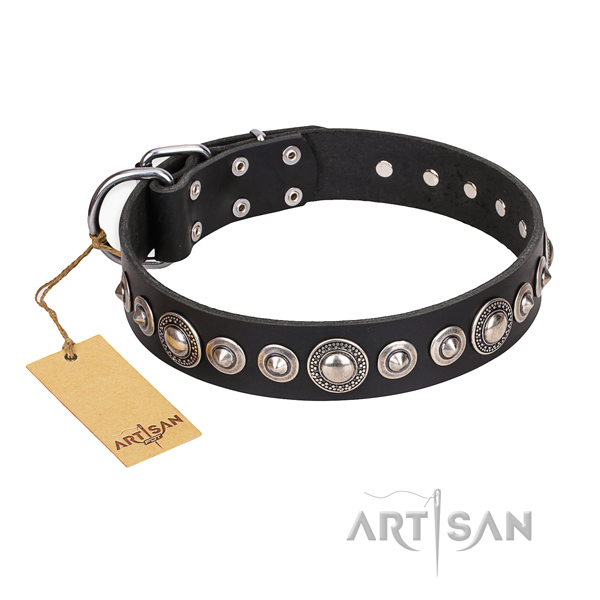 Full grain natural leather dog collar made of reliable material with durable traditional buckle