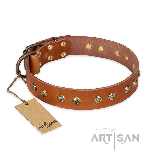 Adorned full grain genuine leather dog collar with strong fittings