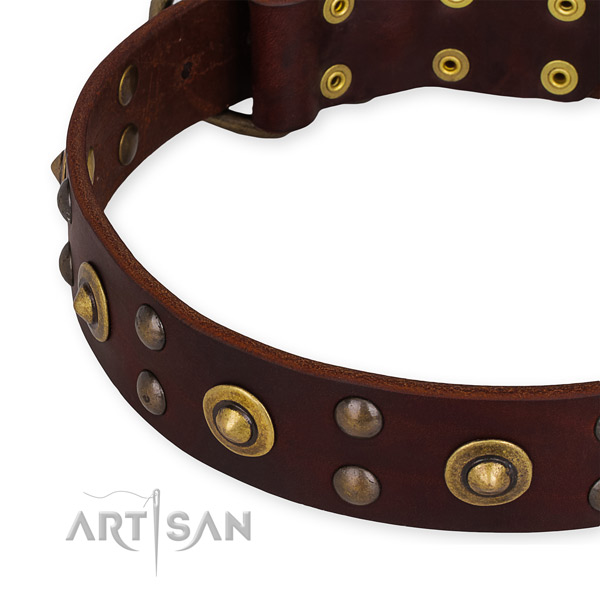 Genuine leather collar with reliable hardware for your lovely four-legged friend