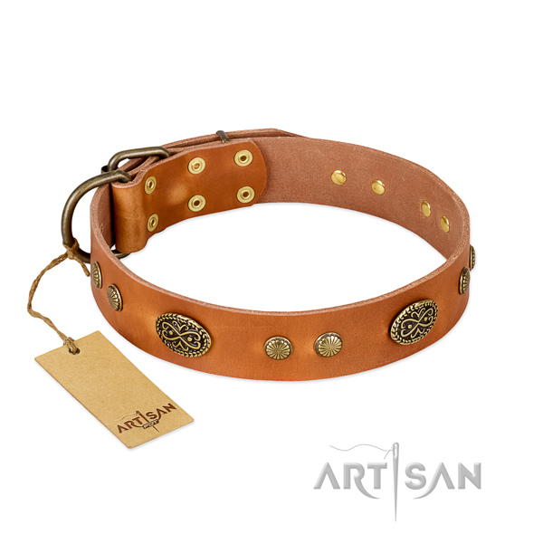 Corrosion proof buckle on Genuine leather dog collar for your pet