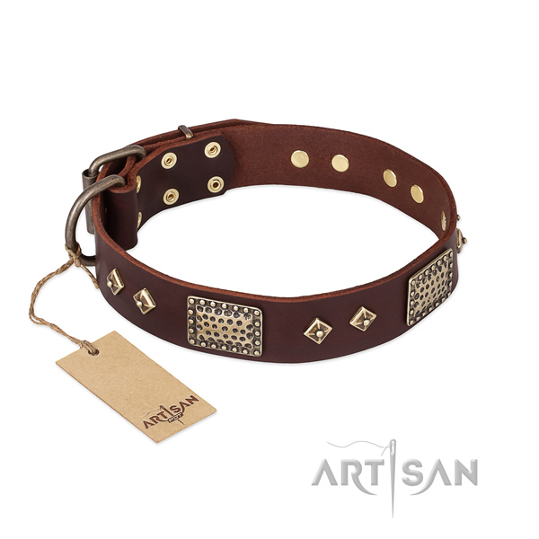 Unusual full grain leather dog collar for daily use