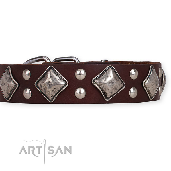 Leather dog collar with stylish corrosion resistant embellishments