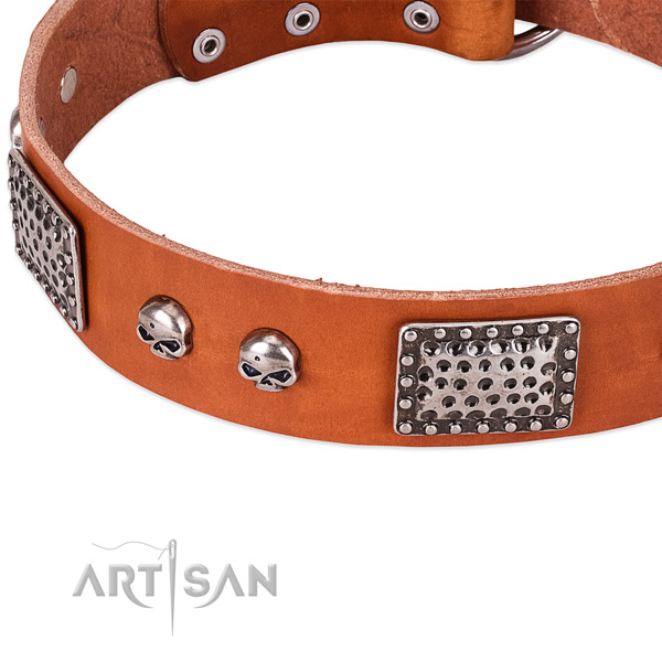 Corrosion proof hardware on genuine leather dog collar for your pet