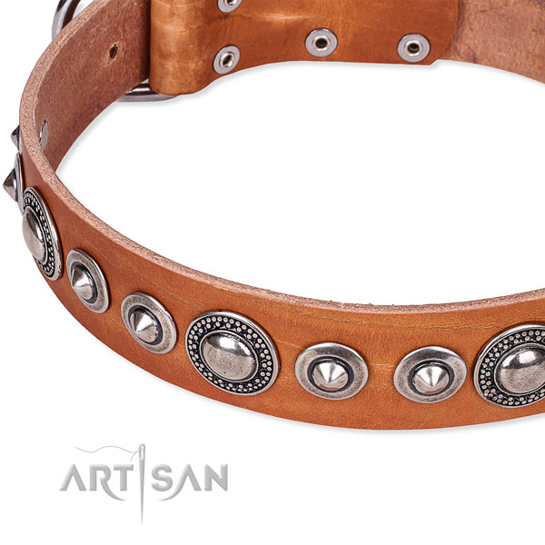 Everyday use decorated dog collar of finest quality full grain natural leather