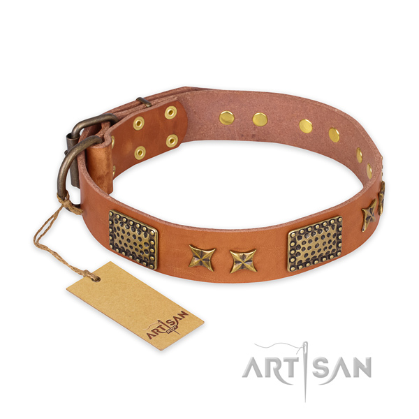 Stunning genuine leather dog collar with corrosion resistant fittings