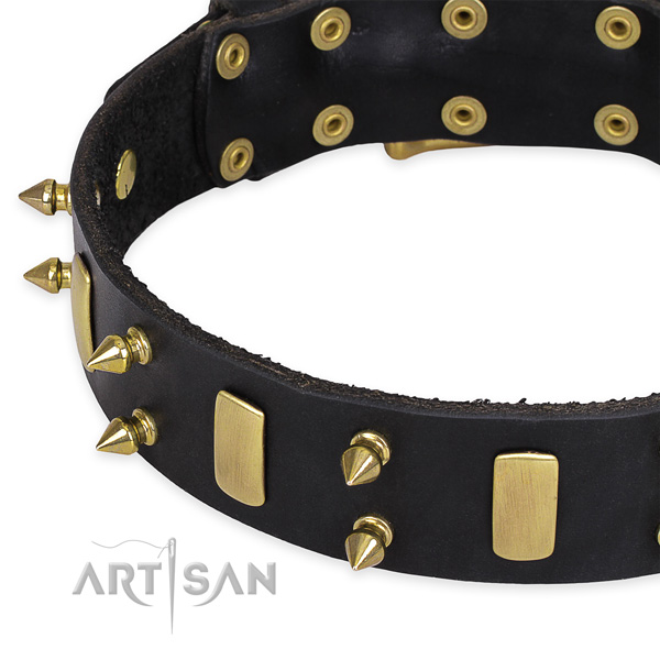 Basic training studded dog collar of high quality leather