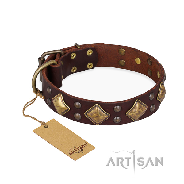 Daily use exceptional dog collar with corrosion resistant hardware