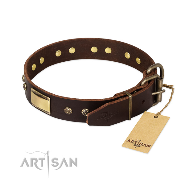 Designer leather collar for your dog