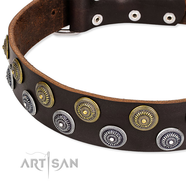 Everyday walking decorated dog collar of durable full grain leather