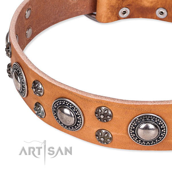 Daily use embellished dog collar of quality full grain genuine leather