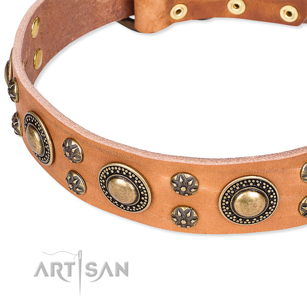 Comfortable wearing adorned dog collar of best quality genuine leather