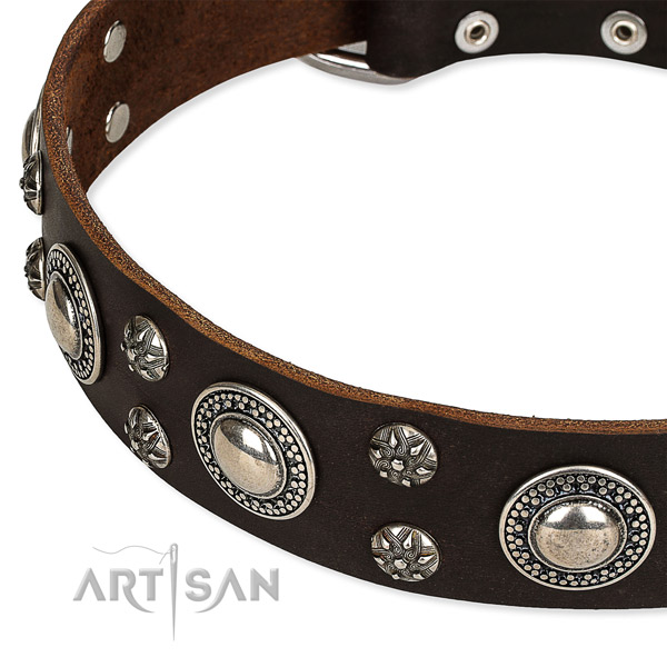 Fancy walking adorned dog collar of durable leather