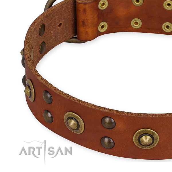 Genuine leather collar with corrosion proof fittings for your stylish dog