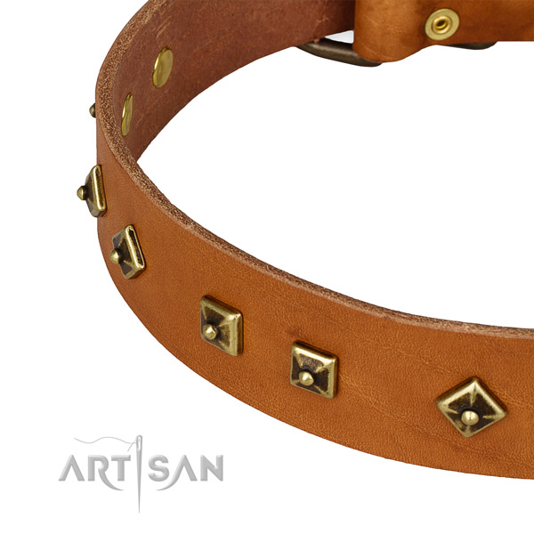 Incredible full grain leather collar for your impressive pet