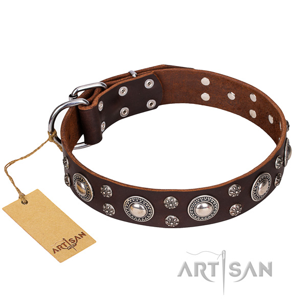 Everyday use dog collar of fine quality full grain genuine leather with decorations