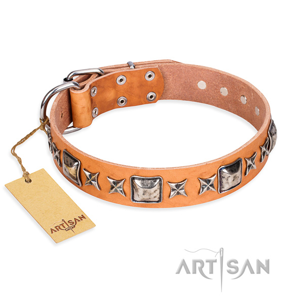 Everyday use dog collar of reliable genuine leather with decorations