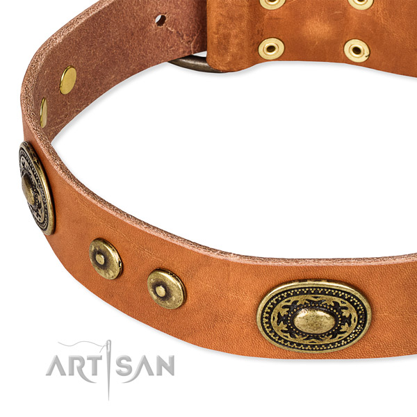 Full grain genuine leather dog collar made of top rate material with embellishments