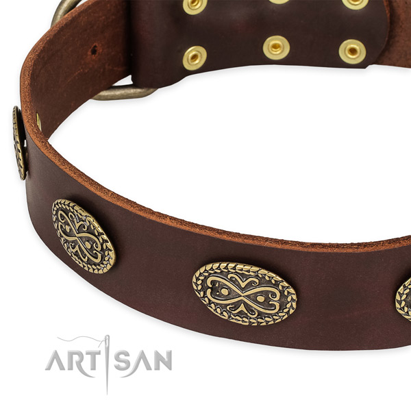 Decorated genuine leather collar for your beautiful canine