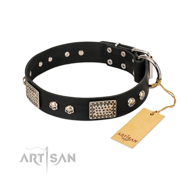 Adjustable genuine leather dog collar for stylish walking your pet