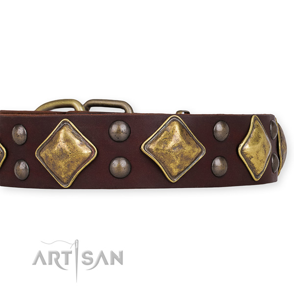 Genuine leather dog collar with inimitable corrosion resistant embellishments