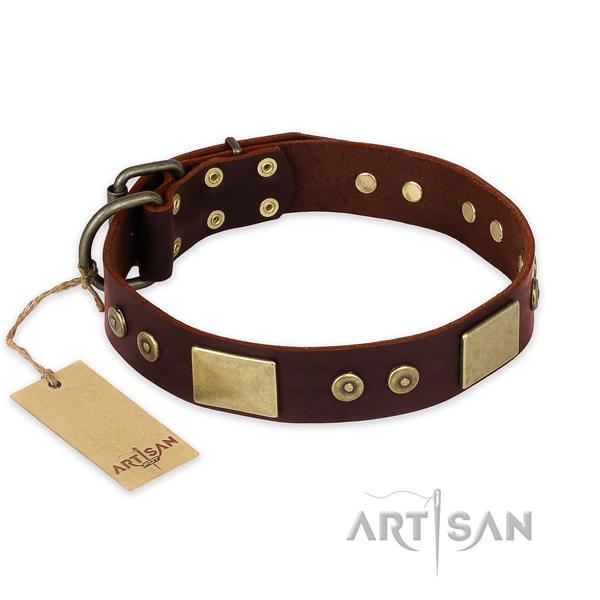 Remarkable full grain genuine leather dog collar for stylish walking