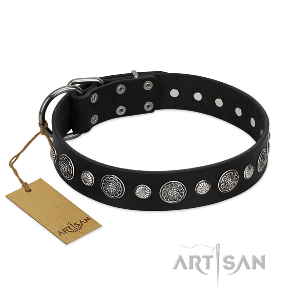 Quality natural leather dog collar with fashionable embellishments