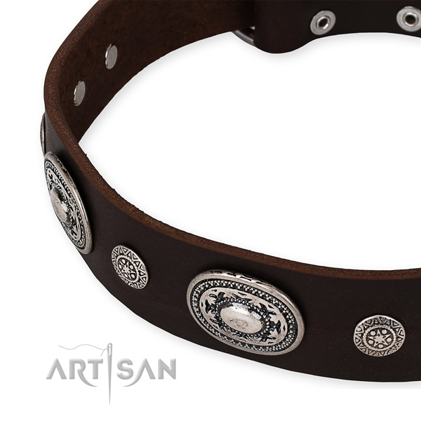 Best quality full grain genuine leather dog collar created for your attractive doggie