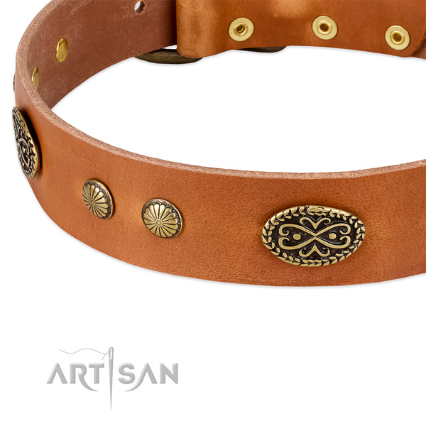 Reliable D-ring on leather dog collar for your four-legged friend