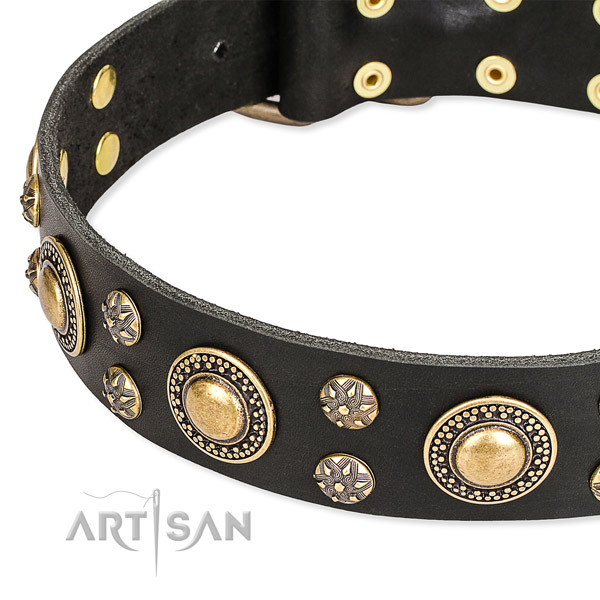 Easy wearing embellished dog collar of fine quality full grain genuine leather