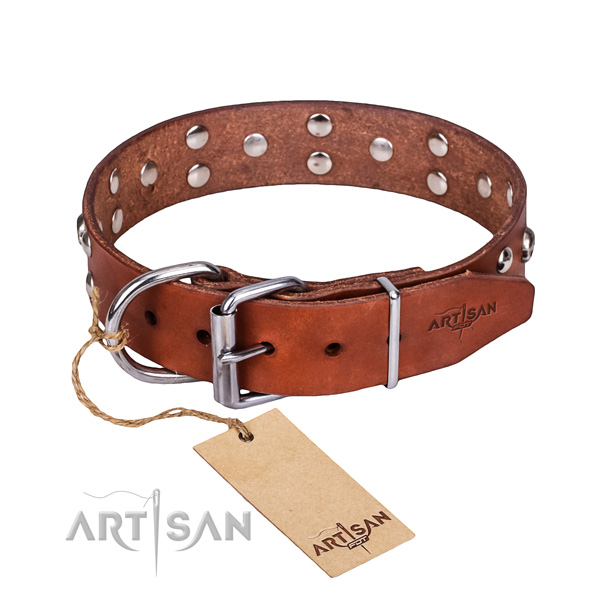 Stylish walking dog collar of best quality natural leather with embellishments