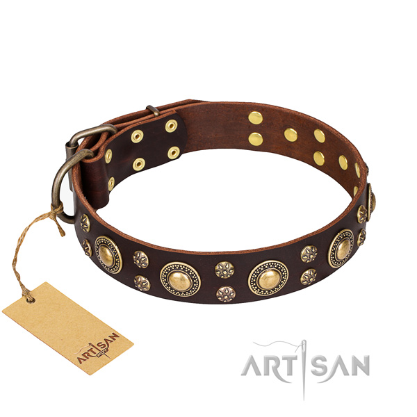 Comfy wearing dog collar of top notch natural leather with embellishments