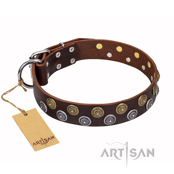 Everyday walking dog collar of finest quality full grain genuine leather with decorations