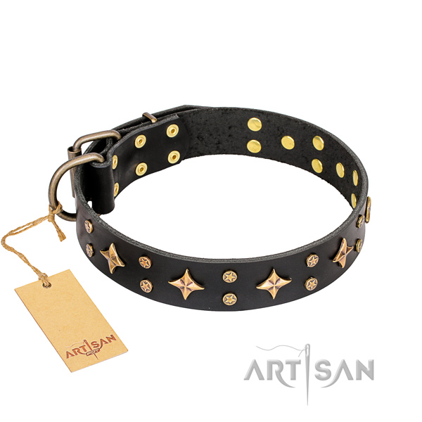 Fancy walking dog collar of high quality genuine leather with studs