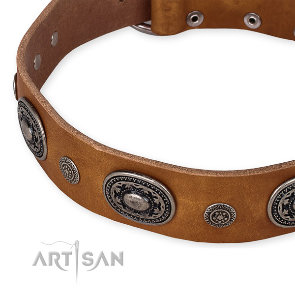 Reliable natural genuine leather dog collar crafted for your beautiful canine