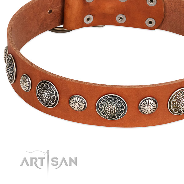 Natural leather collar with rust resistant hardware for your lovely canine