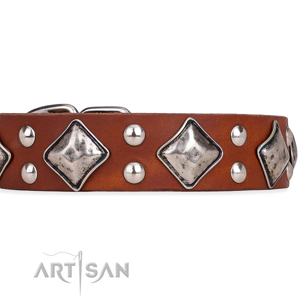 Natural leather dog collar with remarkable corrosion resistant studs