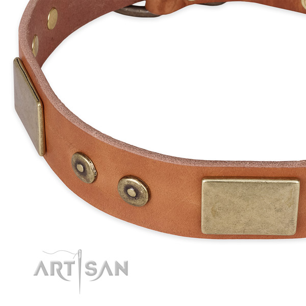 Corrosion resistant fittings on genuine leather dog collar for your dog