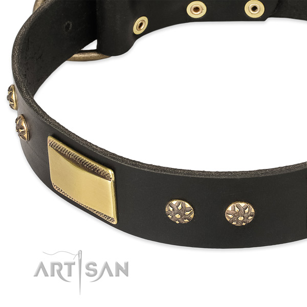 Corrosion proof embellishments on full grain natural leather dog collar for your four-legged friend