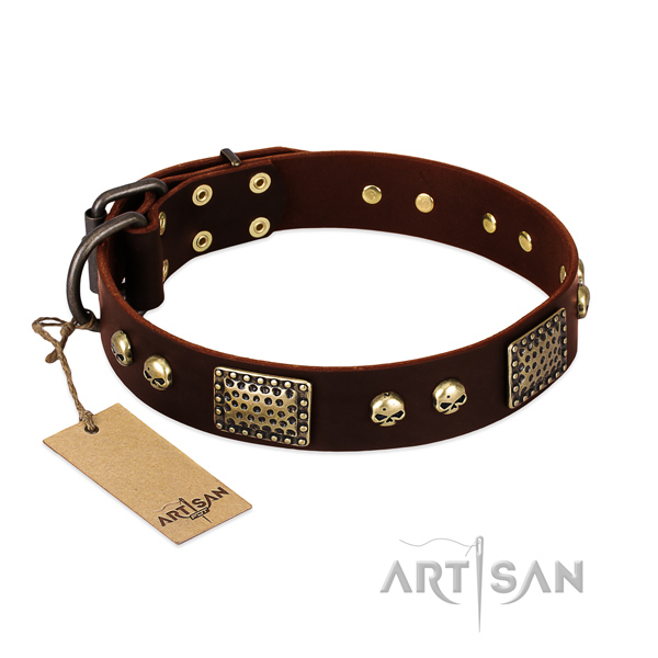 Easy adjustable leather dog collar for stylish walking your four-legged friend