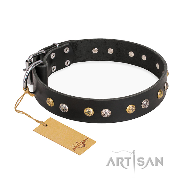 Basic training exceptional dog collar with strong traditional buckle